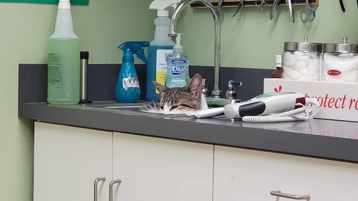 Tri-City Animal & Bird Clinic 12