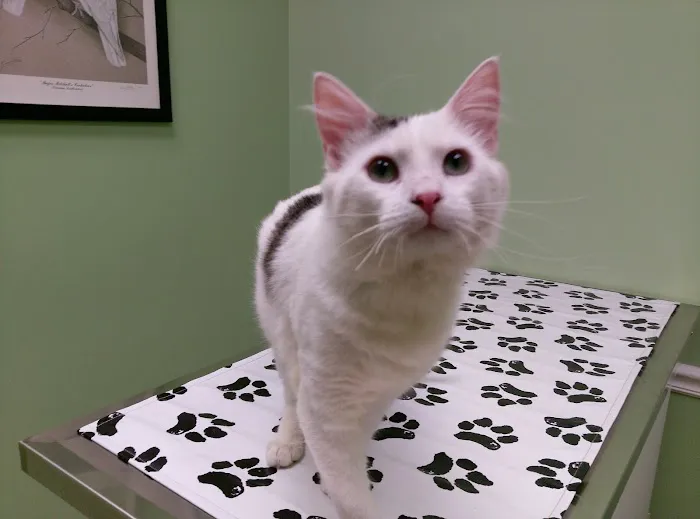 Tri-City Animal & Bird Clinic 12