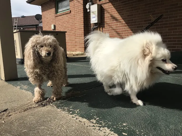 Willowbrook Veterinary Clinic 6