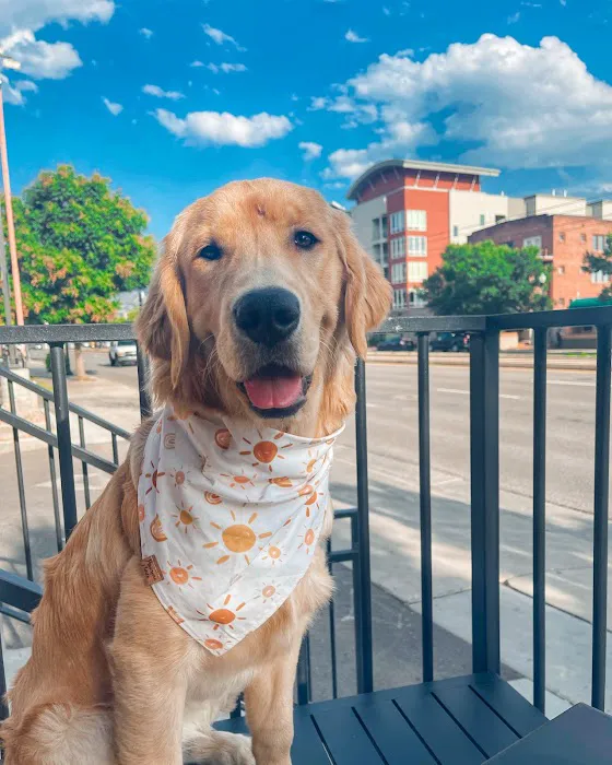 University Veterinary Hospital & Diagnostic Center 10