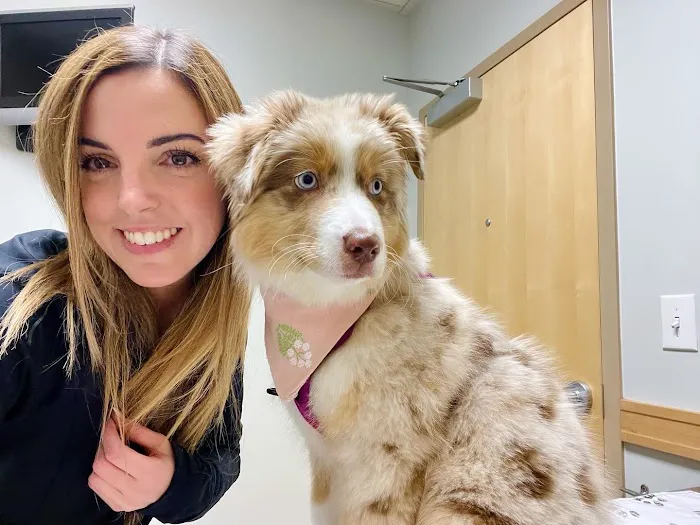 University Veterinary Hospital & Diagnostic Center 6