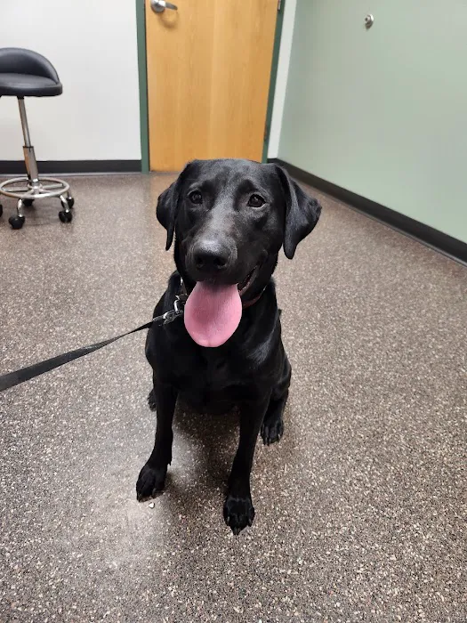 Brickyard Animal Hospital 10