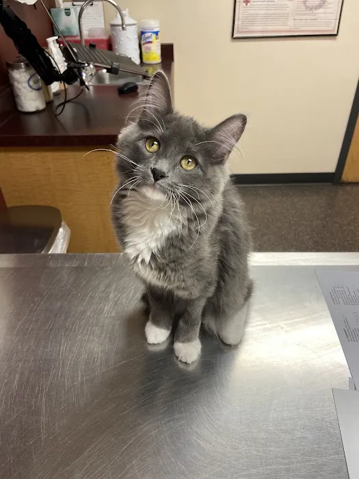 Brickyard Animal Hospital 8