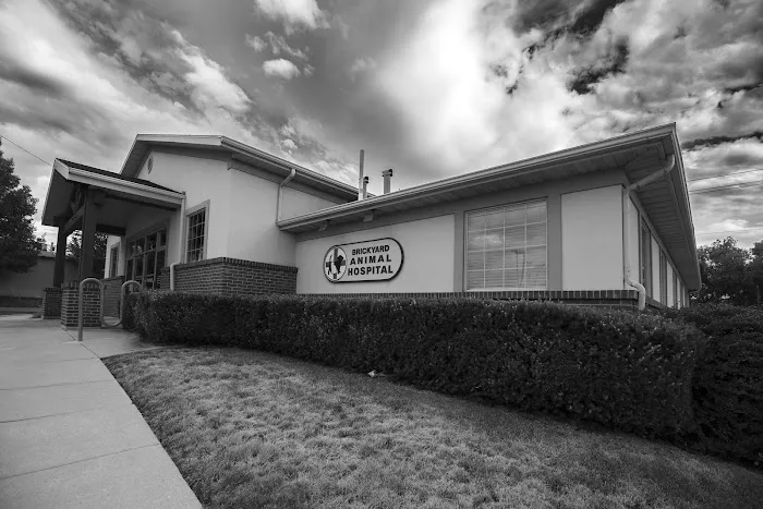 Brickyard Animal Hospital 9