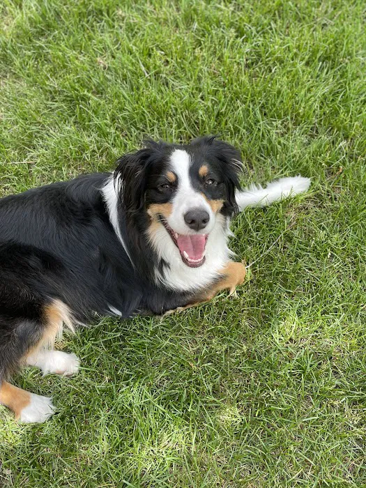 Brickyard Animal Hospital 1