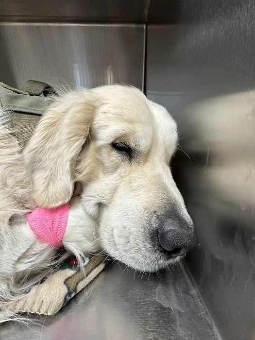Murray Animal Hospital and Exotics 5