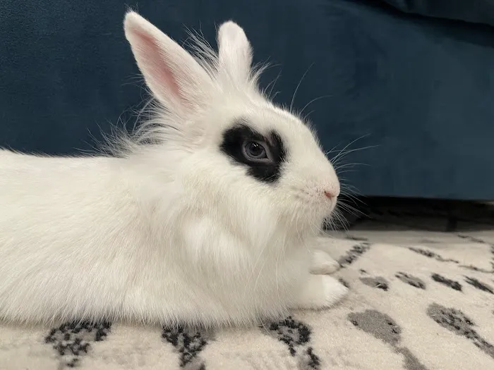 Murray Animal Hospital and Exotics 2