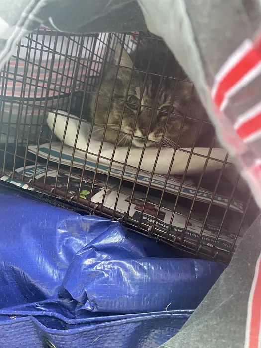 Orchard Animal Clinic 4