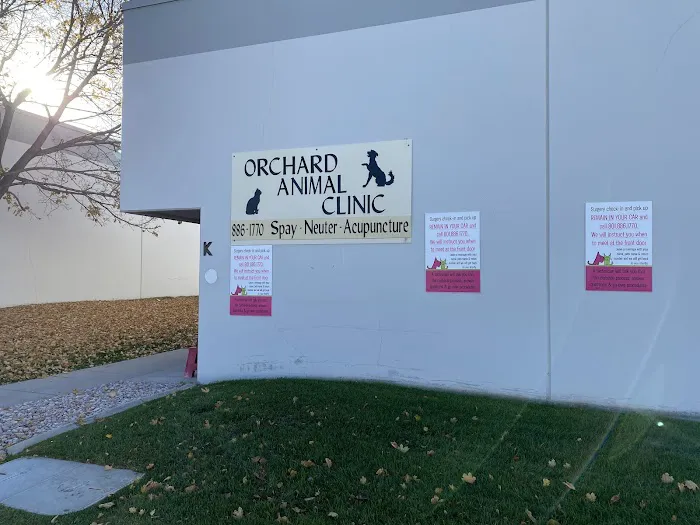 Orchard Animal Clinic 1
