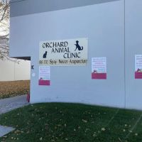 Orchard Animal Clinic ico