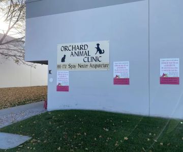 Orchard Animal Clinic