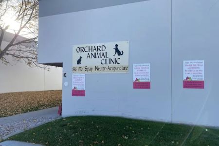 Orchard Animal Clinic