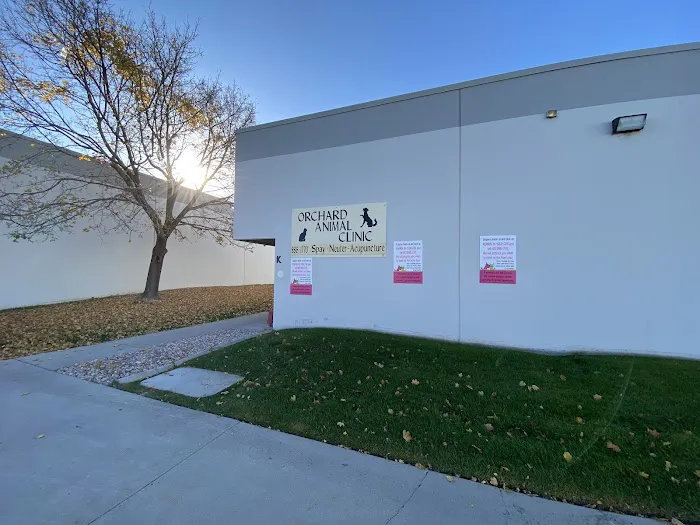 Orchard Animal Clinic 3