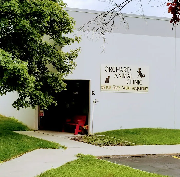 Orchard Animal Clinic 8