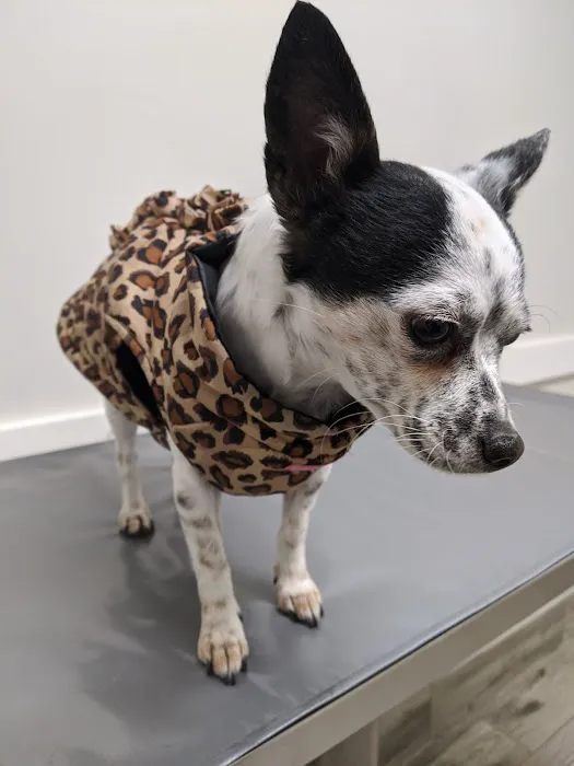 West Valley Veterinary Clinic 4