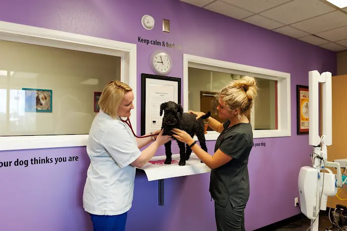 Animal Care Center Airport, A Thrive Pet Healthcare Partner 12