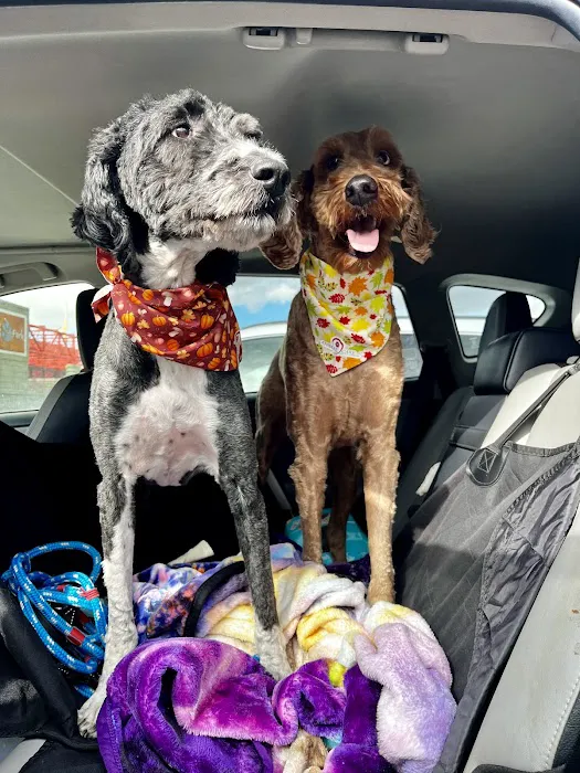 Animal Care Center Airport, A Thrive Pet Healthcare Partner 12