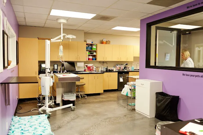 Animal Care Center Airport, A Thrive Pet Healthcare Partner 12