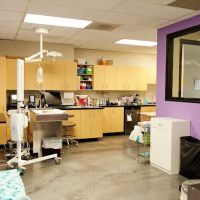 Animal Care Center Airport, A Thrive Pet Healthcare Partner ico