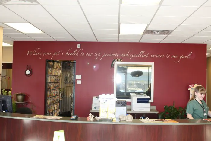 VCA All Pet Animal Hospital/Taylorsville 4