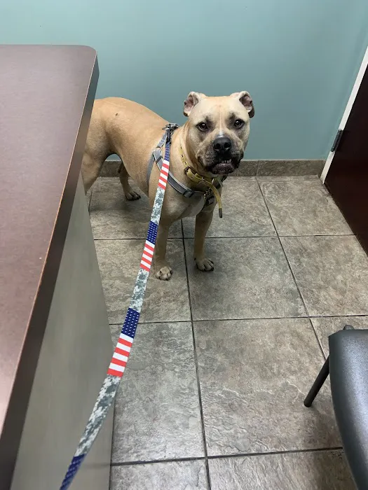 VCA All Pet Animal Hospital/Taylorsville 6