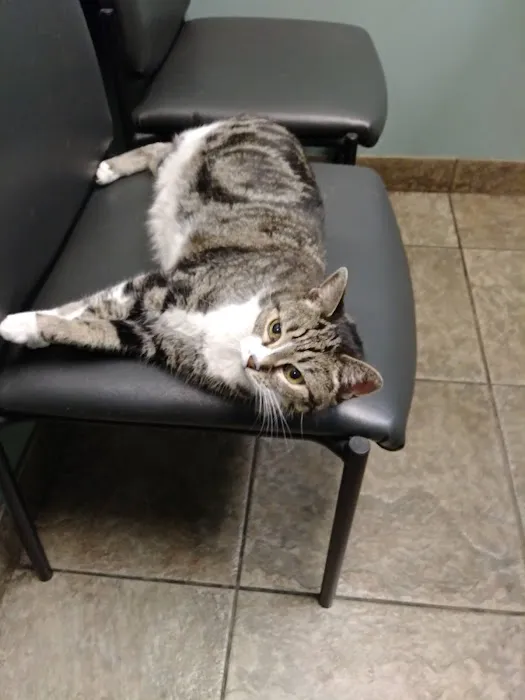 VCA All Pet Animal Hospital/Taylorsville 10