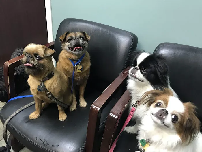 VCA All Pet Animal Hospital/Taylorsville 9