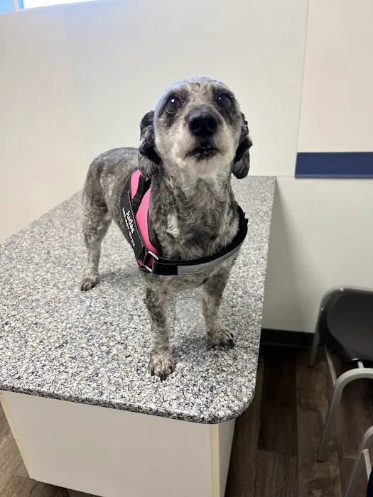 Redwood Veterinary Hospital 4