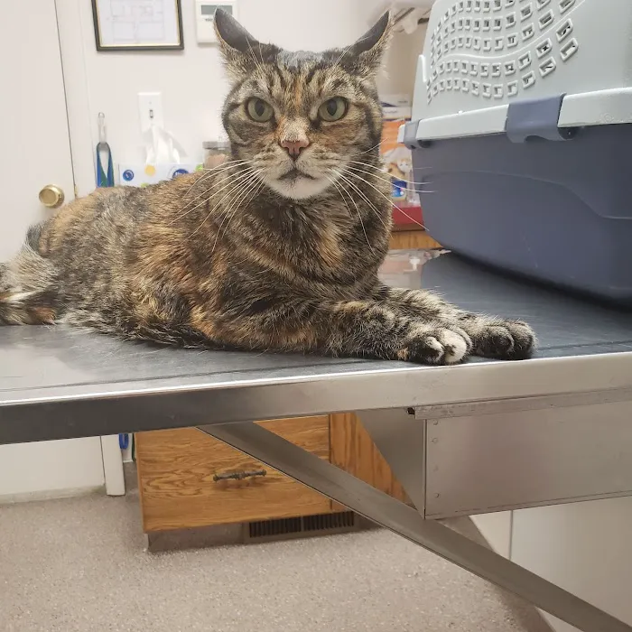 Redwood Veterinary Hospital 10