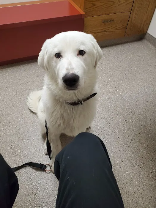 Redwood Veterinary Hospital 6