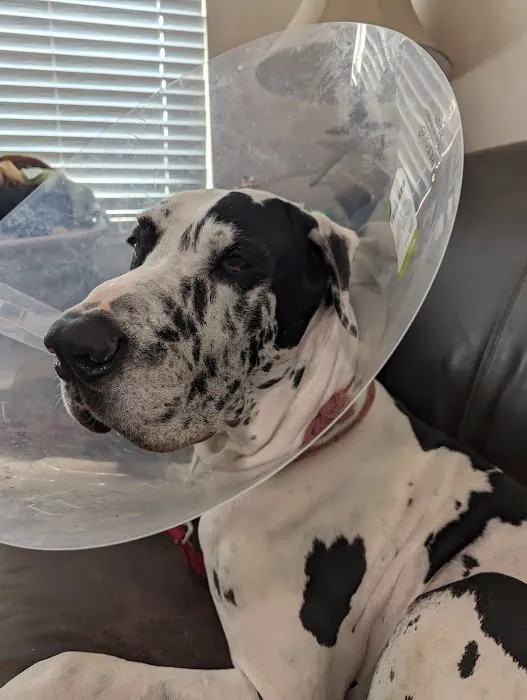 Millcreek Veterinary Clinic 12