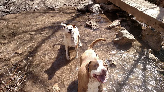 Millcreek Veterinary Clinic 12