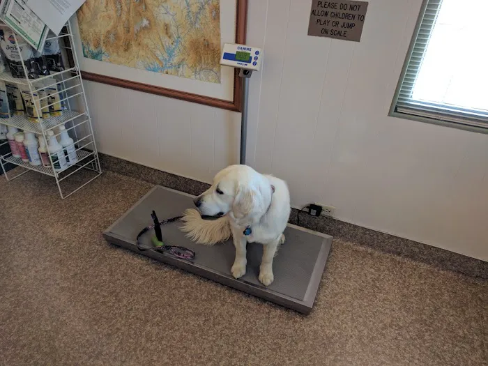 Millcreek Veterinary Clinic 12
