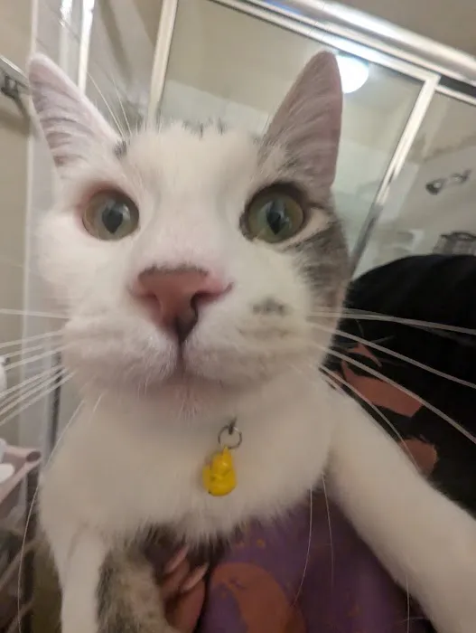 Vetco Total Care Animal Hospital 5