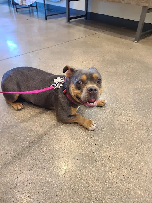 Vetco Total Care Animal Hospital 9