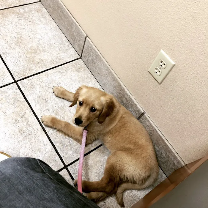 VCA Blue Cross Animal Hospital 10