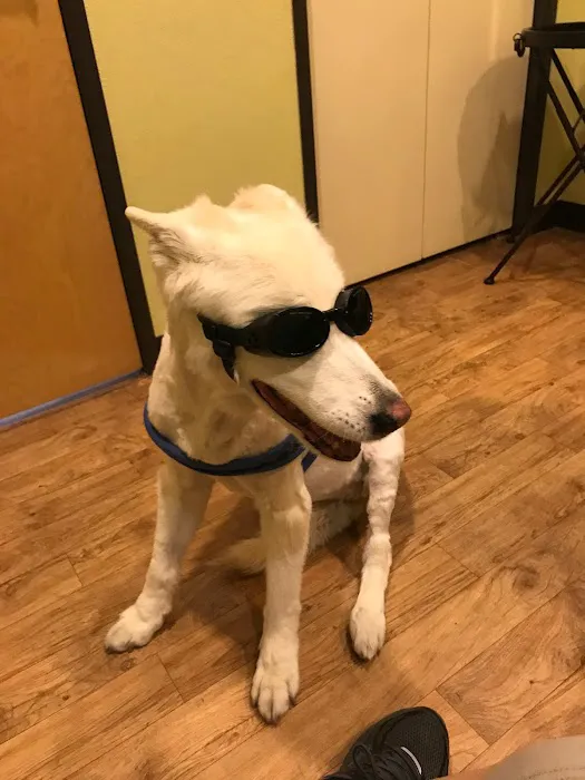 Integrative Veterinary Hospital, LLC 2