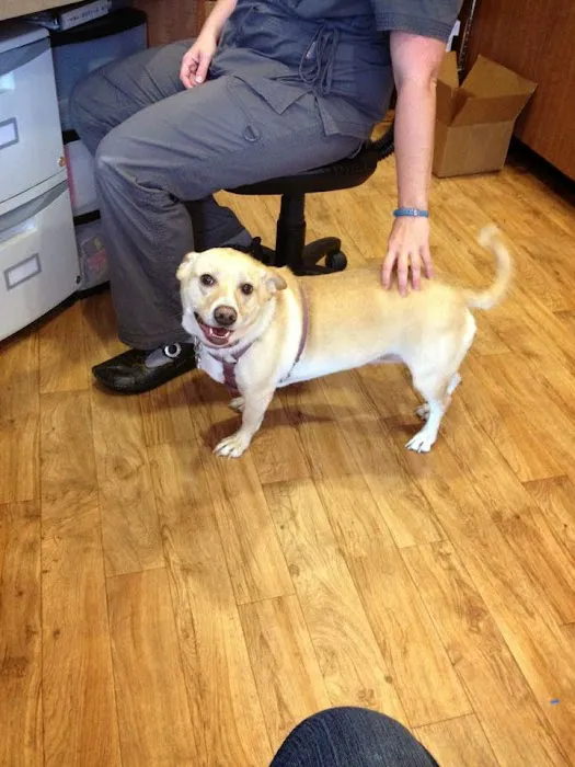 Integrative Veterinary Hospital, LLC 5
