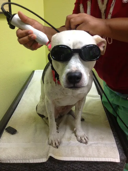Integrative Veterinary Hospital, LLC 9