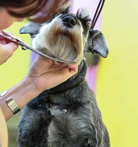 Integrative Veterinary Hospital, LLC 8