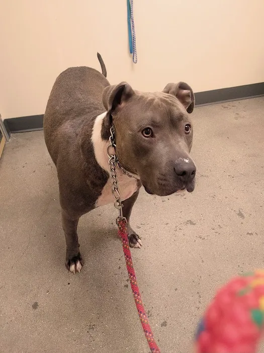 Vetco Total Care Animal Hospital 5