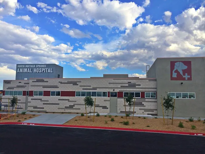 South Buffalo Springs Animal Hospital 1