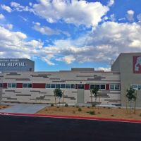 South Buffalo Springs Animal Hospital ico