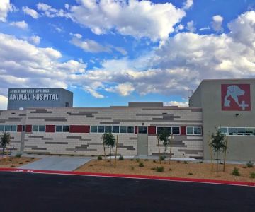 South Buffalo Springs Animal Hospital
