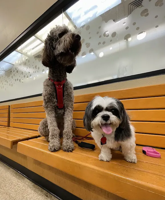 Banfield Pet Hospital 12