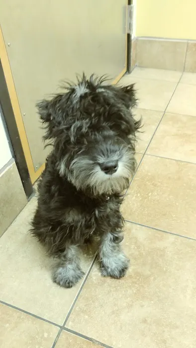 Banfield Pet Hospital 12