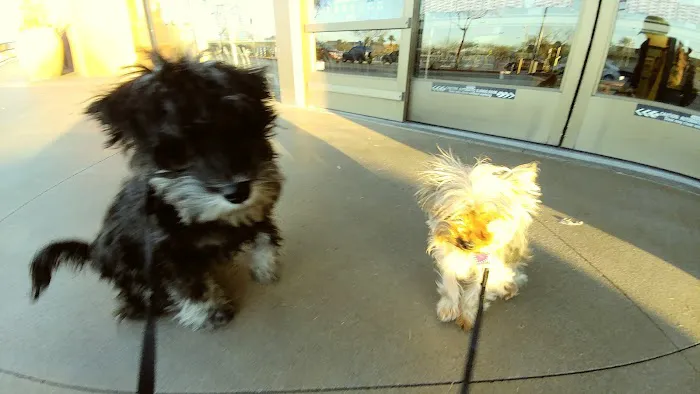 Banfield Pet Hospital 12