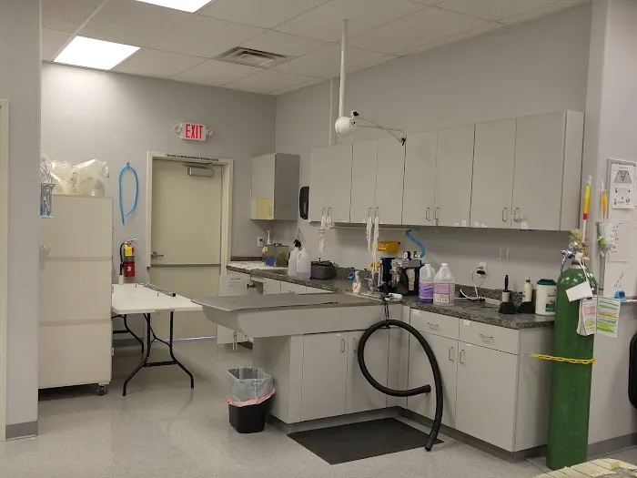 Spay & Neuter Center of Southern Nevada 6