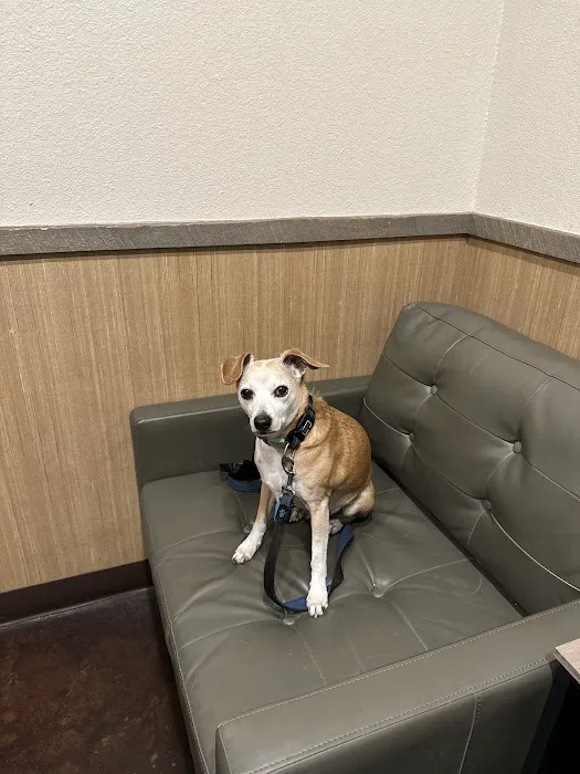 Town Center Animal Hospital 10