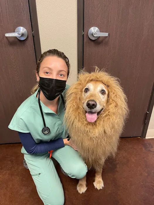 Town Center Animal Hospital 3